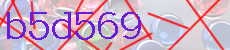 b5d569